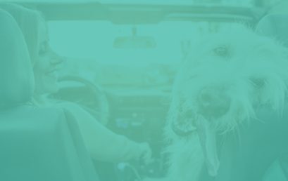 Car Insurance for New or Young Drivers in Canada